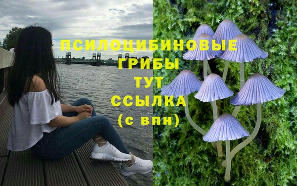 трава Верхний Тагил