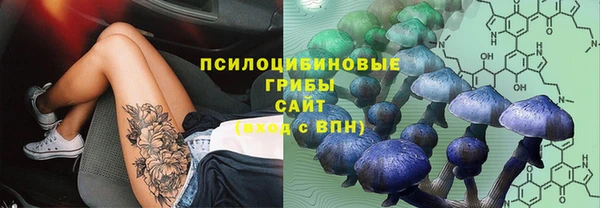 трава Верхний Тагил