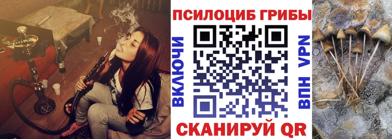 Галлюциногенные грибы Psilocybe  цены наркотик  маркетплейс состав  Электросталь 